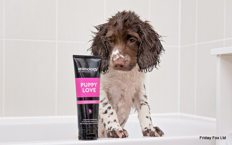 Puppy Love Dog Shampoo